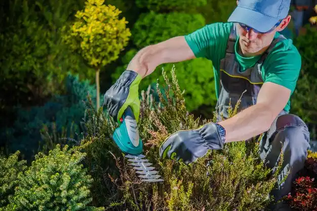 landscaping services Taunton